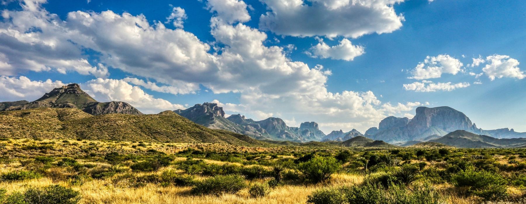 a landscape with mountains in the back